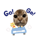 ライムちゃん！！！（個別スタンプ：36）
