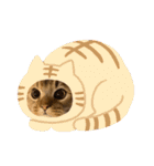 ライムちゃん！！！（個別スタンプ：38）