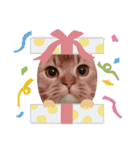 ライムちゃん！！！（個別スタンプ：39）