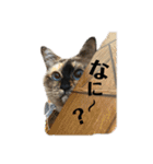 ルツタンプ 3（個別スタンプ：9）