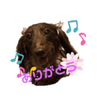 ちーとぷーとたらふく（個別スタンプ：9）