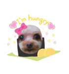 ちーとぷーとたらふく（個別スタンプ：15）
