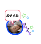 虹歩お話（個別スタンプ：1）