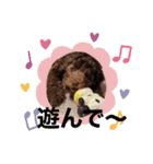 Australian Labradoodle Lutzの日常1（個別スタンプ：16）
