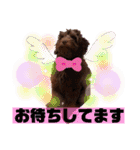 Australian Labradoodle Lutzの日常1（個別スタンプ：17）
