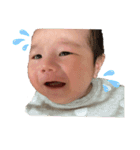 ぶんさん。（個別スタンプ：3）