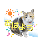 かわいいみーちゃん★（個別スタンプ：4）