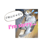 かわいいみーちゃん★（個別スタンプ：11）