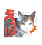 かわいいみーちゃん★（個別スタンプ：13）