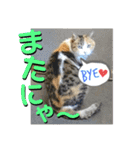 かわいいみーちゃん★（個別スタンプ：20）