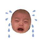 瑛叶くん（個別スタンプ：4）
