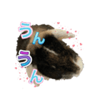 ウサギのスタンプ面白編（個別スタンプ：17）