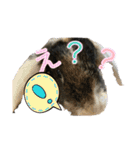 ウサギのスタンプ面白編（個別スタンプ：21）