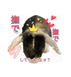 ウサギのスタンプ面白編（個別スタンプ：22）