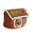 斉藤チワワ オールスターズ(改)（個別スタンプ：16）