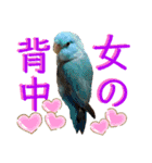 チビファミリー3❣️（個別スタンプ：1）