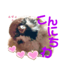 チビファミリー3❣️（個別スタンプ：3）
