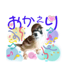 チビファミリー3❣️（個別スタンプ：5）