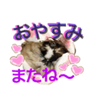 チビファミリー3❣️（個別スタンプ：7）