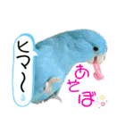 チビファミリー3❣️（個別スタンプ：29）