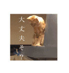 ダー子（個別スタンプ：8）