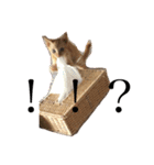 ダー子（個別スタンプ：9）