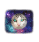みんなのアイドル猫パズル（個別スタンプ：5）
