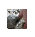 とろちゃん②（個別スタンプ：3）