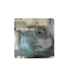 とろちゃん②（個別スタンプ：4）