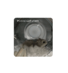 とろちゃん②（個別スタンプ：7）
