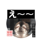 前原の小言.2.（個別スタンプ：9）