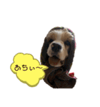 フレンドアメコ（個別スタンプ：10）