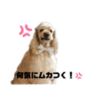 フレンドアメコ（個別スタンプ：16）