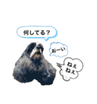 フレンドアメコ（個別スタンプ：31）