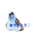 フレンドアメコ（個別スタンプ：34）