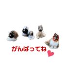 フレンドアメコ（個別スタンプ：37）