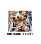 ♪よもちまライフ♪～家族連絡多め～（個別スタンプ：6）