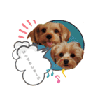 ♪よもちまライフ♪～家族連絡多め～（個別スタンプ：9）