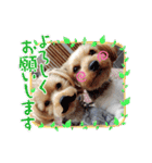 ♪よもちまライフ♪～家族連絡多め～（個別スタンプ：17）