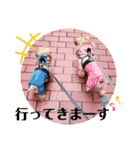 ♪よもちまライフ♪～家族連絡多め～（個別スタンプ：21）