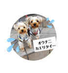 ♪よもちまライフ♪～家族連絡多め～（個別スタンプ：22）