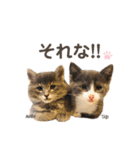 タビマロスタンプver1（個別スタンプ：2）