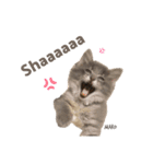 タビマロスタンプver1（個別スタンプ：7）