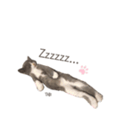 タビマロスタンプver1（個別スタンプ：8）