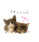 タビマロスタンプver1（個別スタンプ：9）