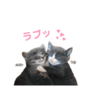タビマロスタンプver1（個別スタンプ：16）