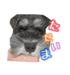 うにと安倍さんのスタンプ（個別スタンプ：2）
