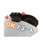 うにと安倍さんのスタンプ（個別スタンプ：6）