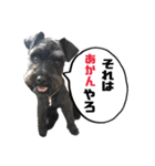 うにと安倍さんのスタンプ（個別スタンプ：14）
