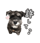 うにと安倍さんのスタンプ（個別スタンプ：15）